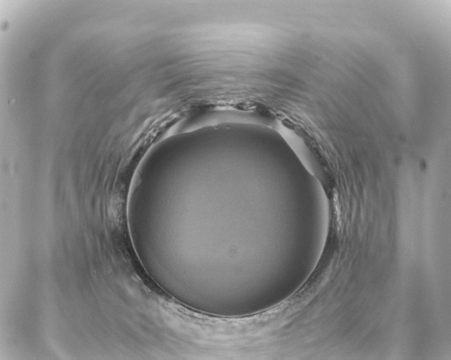 X0000087060035200704251040