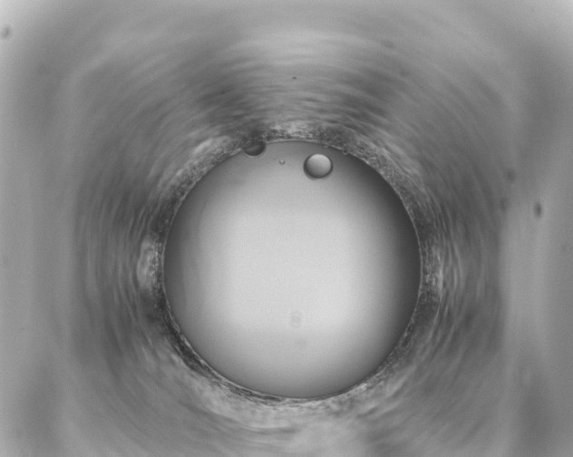 X0000087060036200704251040