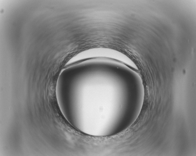 X0000087060037200704251040