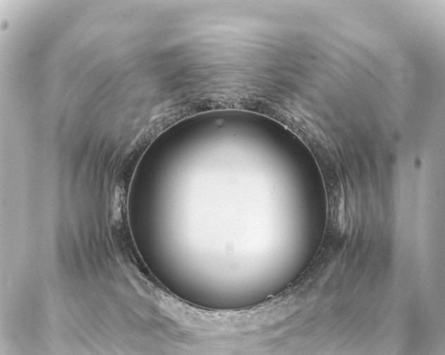 X0000087060038200704251040