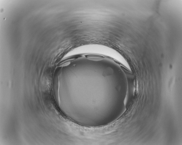 X0000087060039200704251040