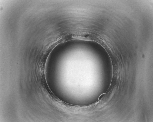 X0000087060040200704251040