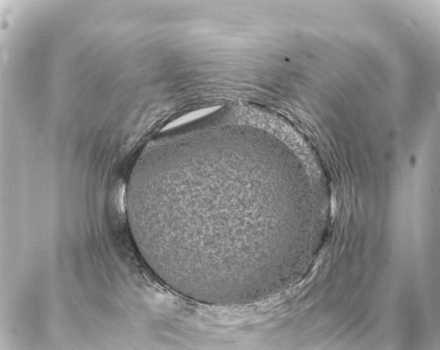 X0000087060041200704251040