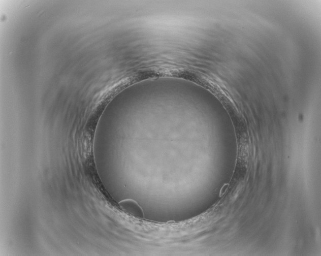 X0000087060043200704251040