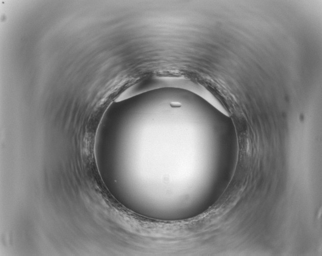 X0000087060044200704251040