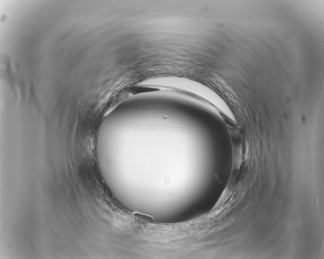 X0000087060045200704251040