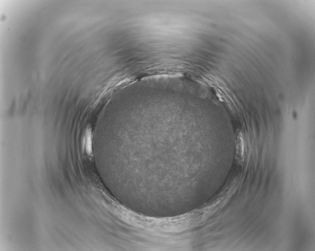 X0000087060046200704251040