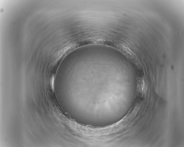 X0000087060047200704251040