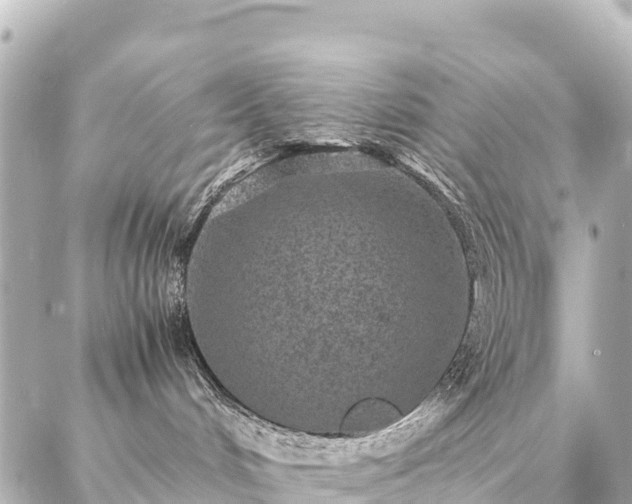 X0000087060048200704251040