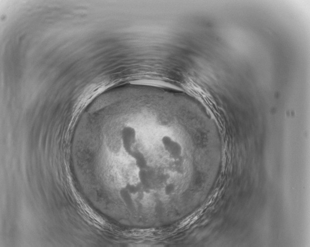 X0000087060049200704251039