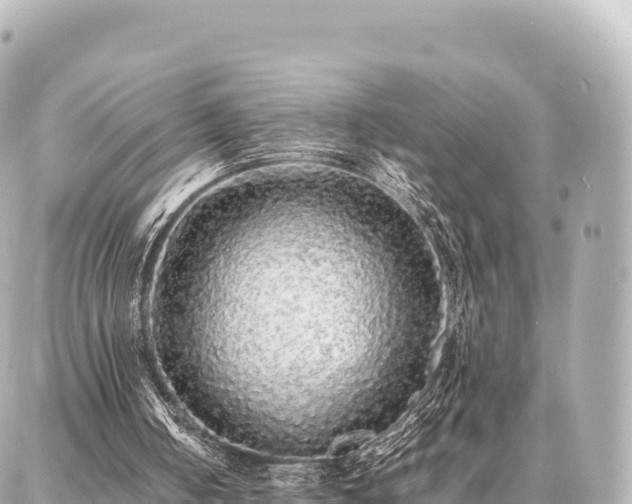 X0000087060050200704251039