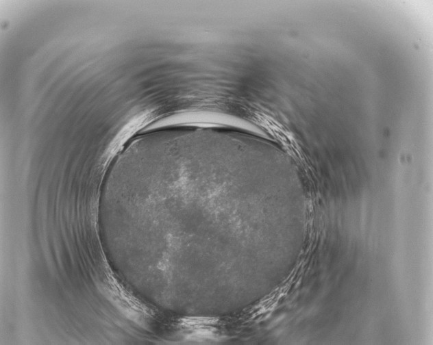 X0000087060051200704251039