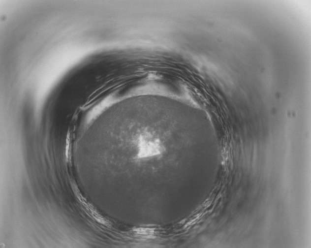 X0000087060052200704251039