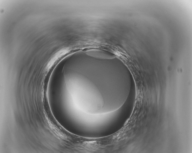 X0000087060054200704251039