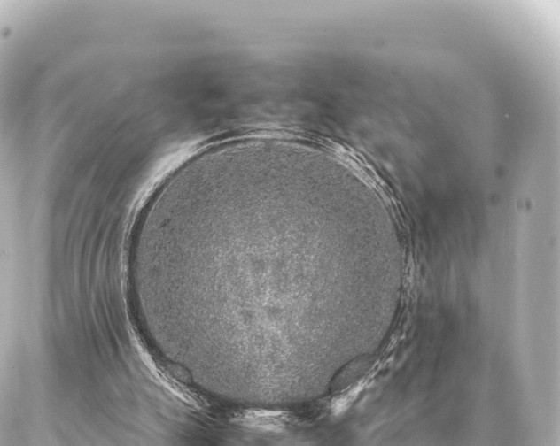 X0000087060055200704251039