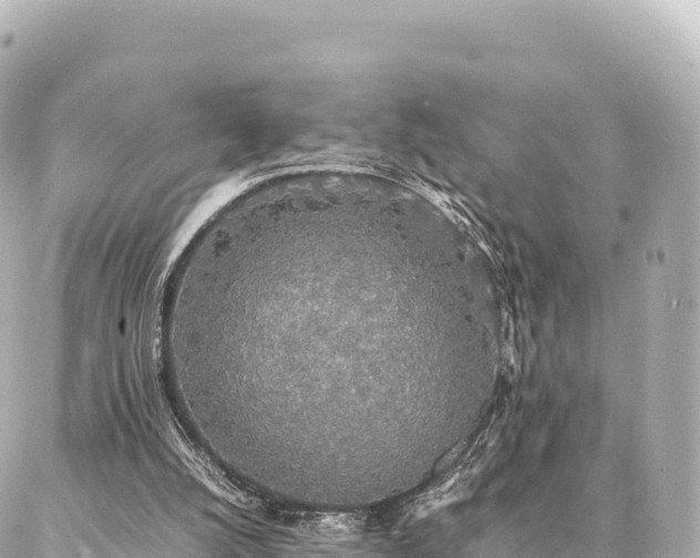 X0000087060056200704251039