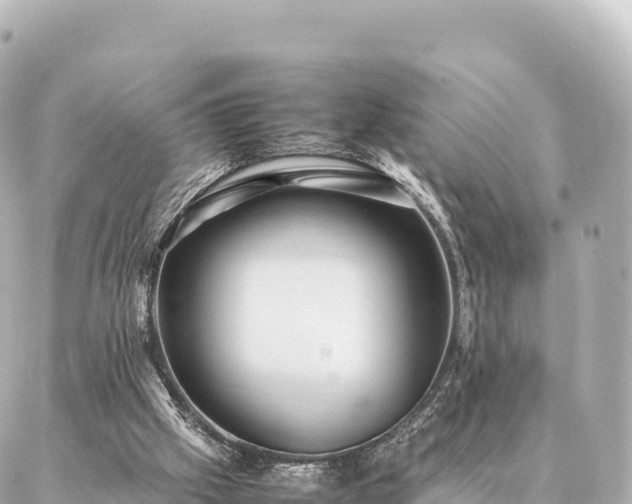 X0000087060057200704251039