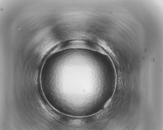 X0000087060058200704251039