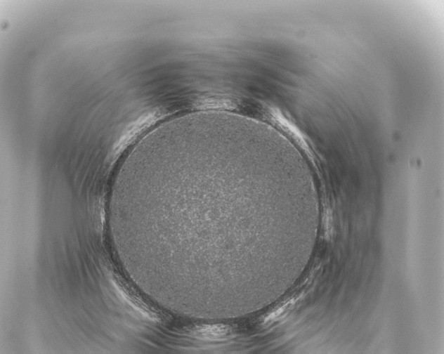 X0000087060059200704251039