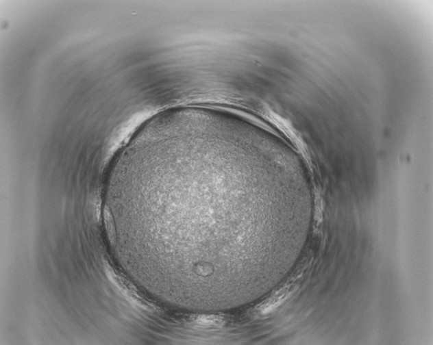 X0000087060060200704251039