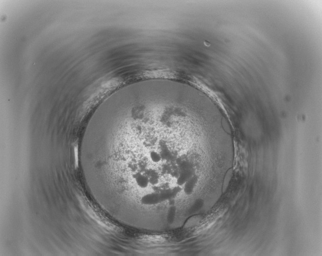 X0000087060061200704251039