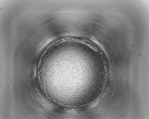 X0000087060062200704251039