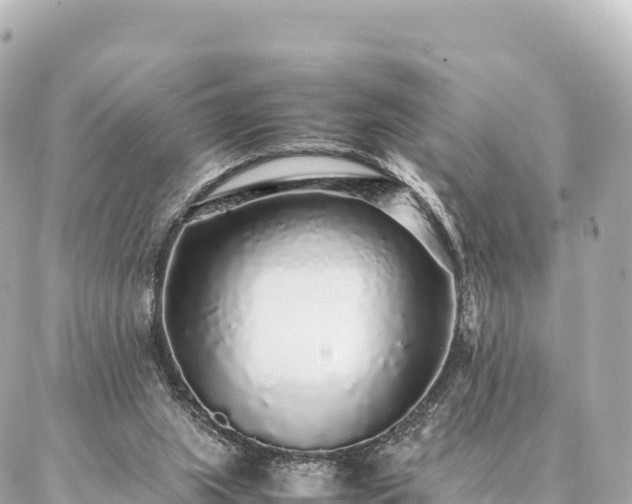 X0000087060063200704251039