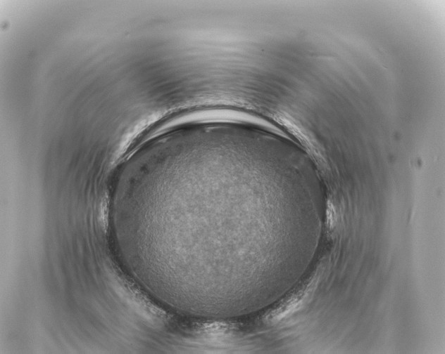 X0000087060064200704251039