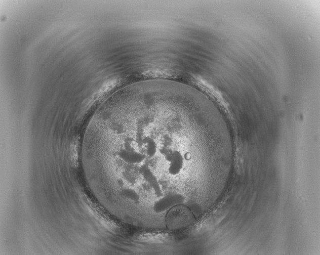 X0000087060065200704251039