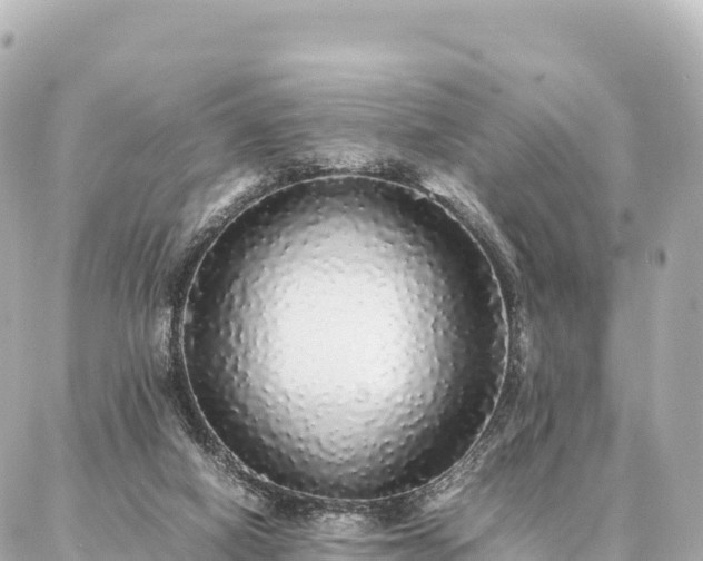 X0000087060066200704251039