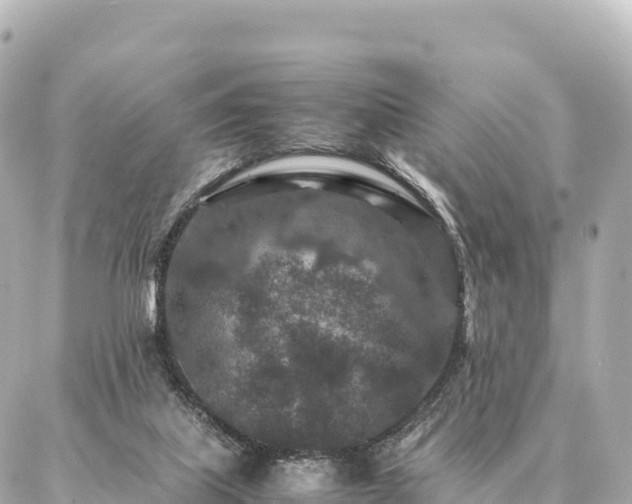 X0000087060067200704251039