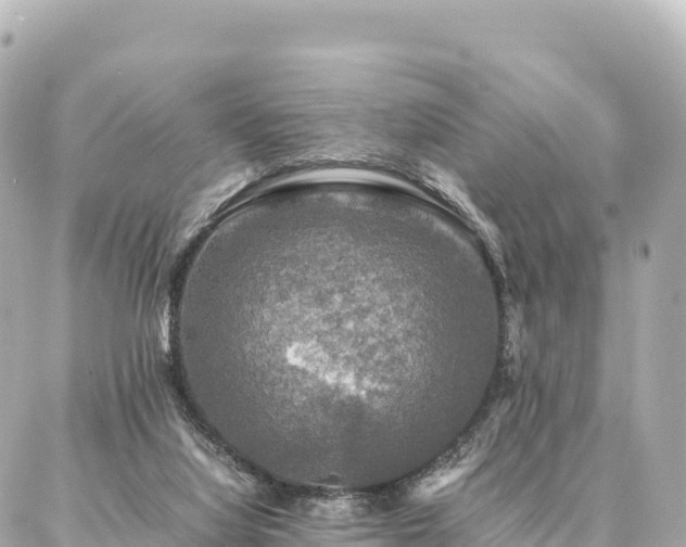 X0000087060068200704251039