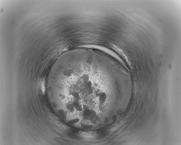 X0000087060069200704251040