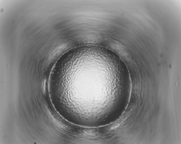 X0000087060070200704251040