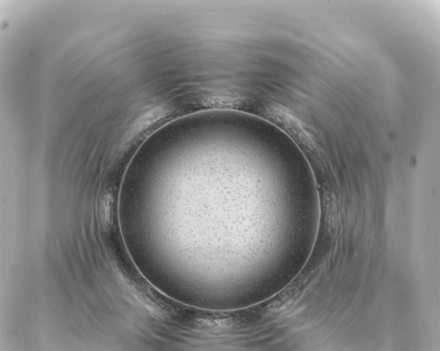 X0000087060071200704251040