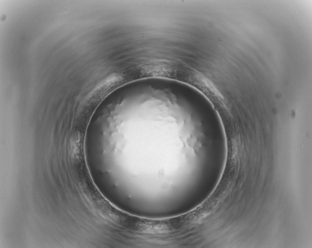 X0000087060073200704251040