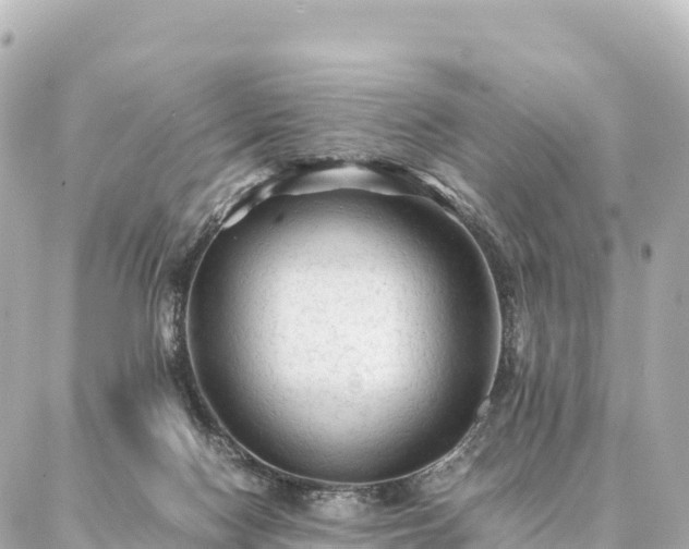 X0000087060074200704251040