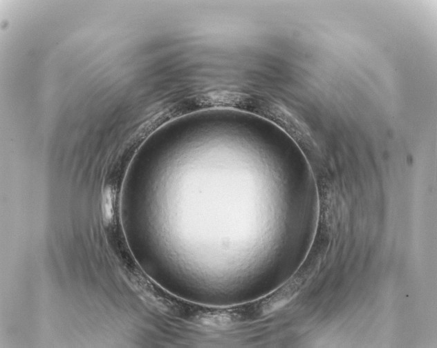 X0000087060075200704251040