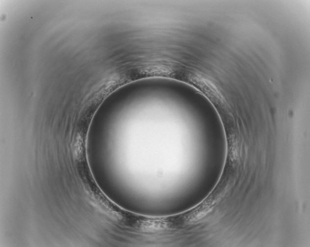 X0000087060077200704251040