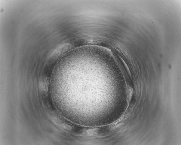 X0000087060078200704251040