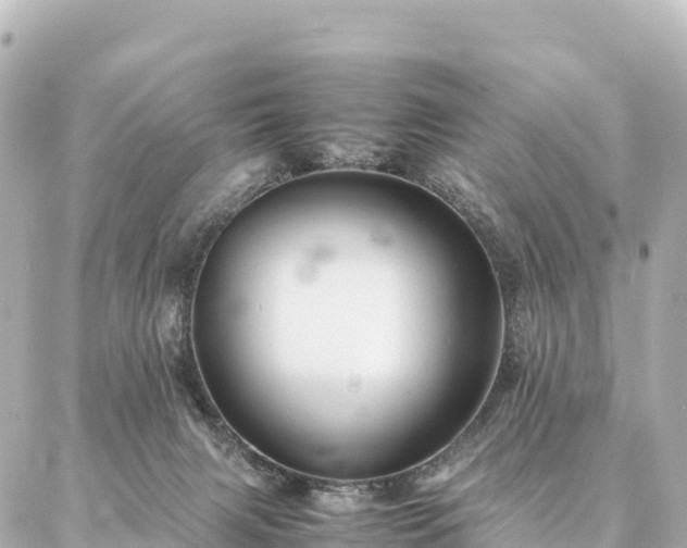 X0000087060079200704251040