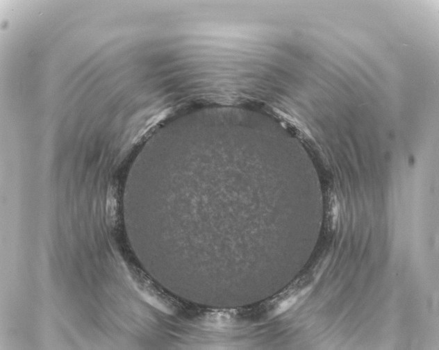 X0000087060080200704251040