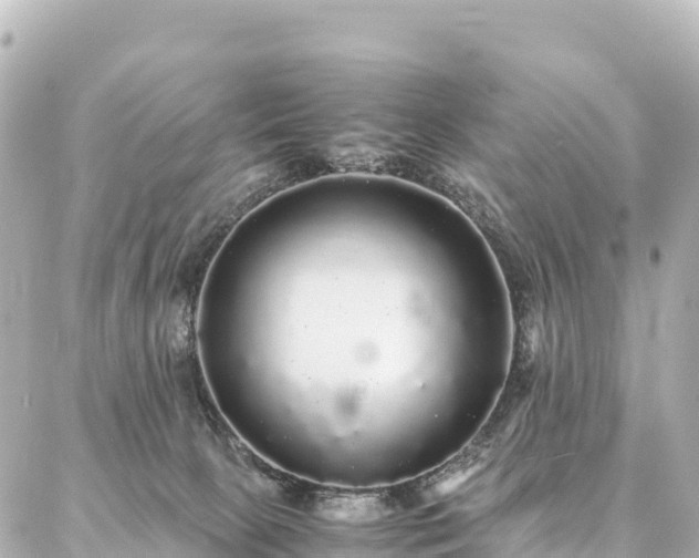 X0000087060081200704251040