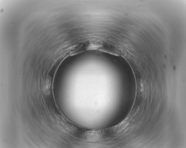 X0000087060082200704251040