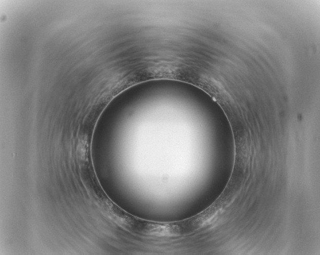 X0000087060083200704251040