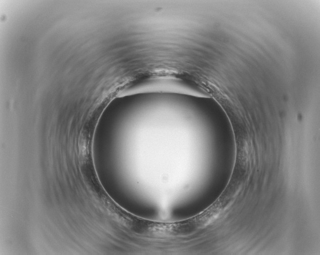 X0000087060084200704251040