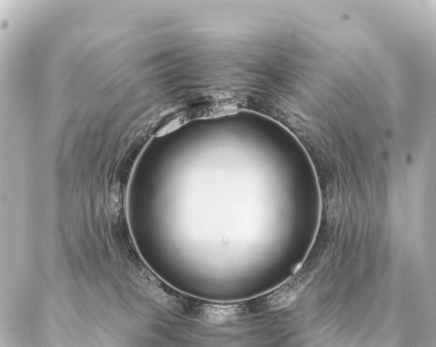 X0000087060085200704251040