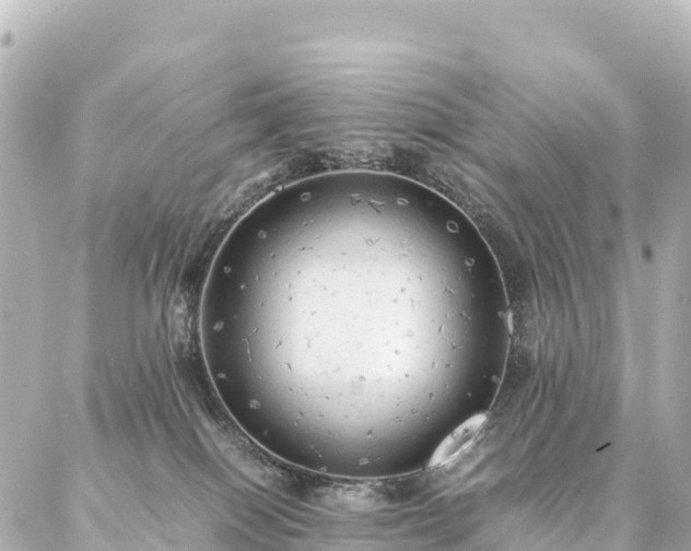 X0000087060086200704251040