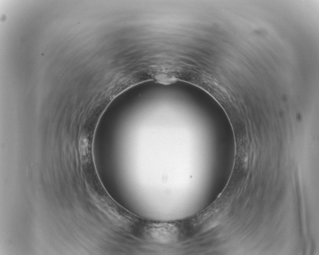 X0000087060087200704251040