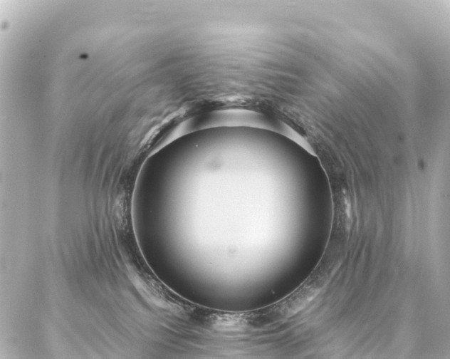 X0000087060088200704251040